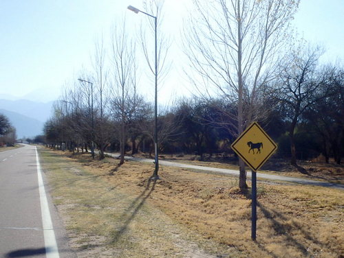 On the outskirts of Cafayate there is a paved running/pedestrian walkway.